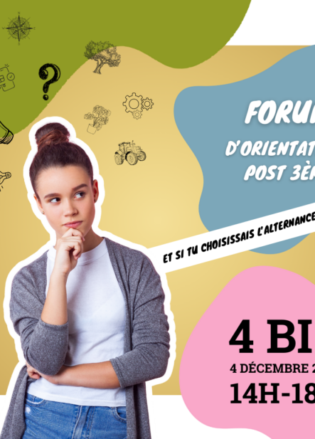 Forum : Que faire après la 3ème ?